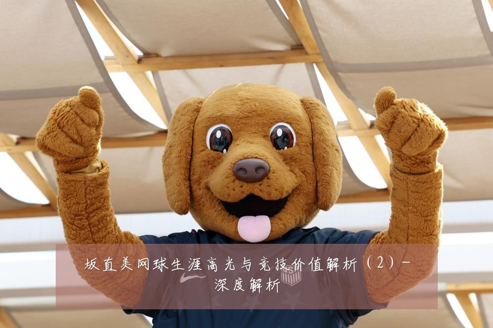 坂直美网球生涯高光与竞技价值解析(2)-深度解析